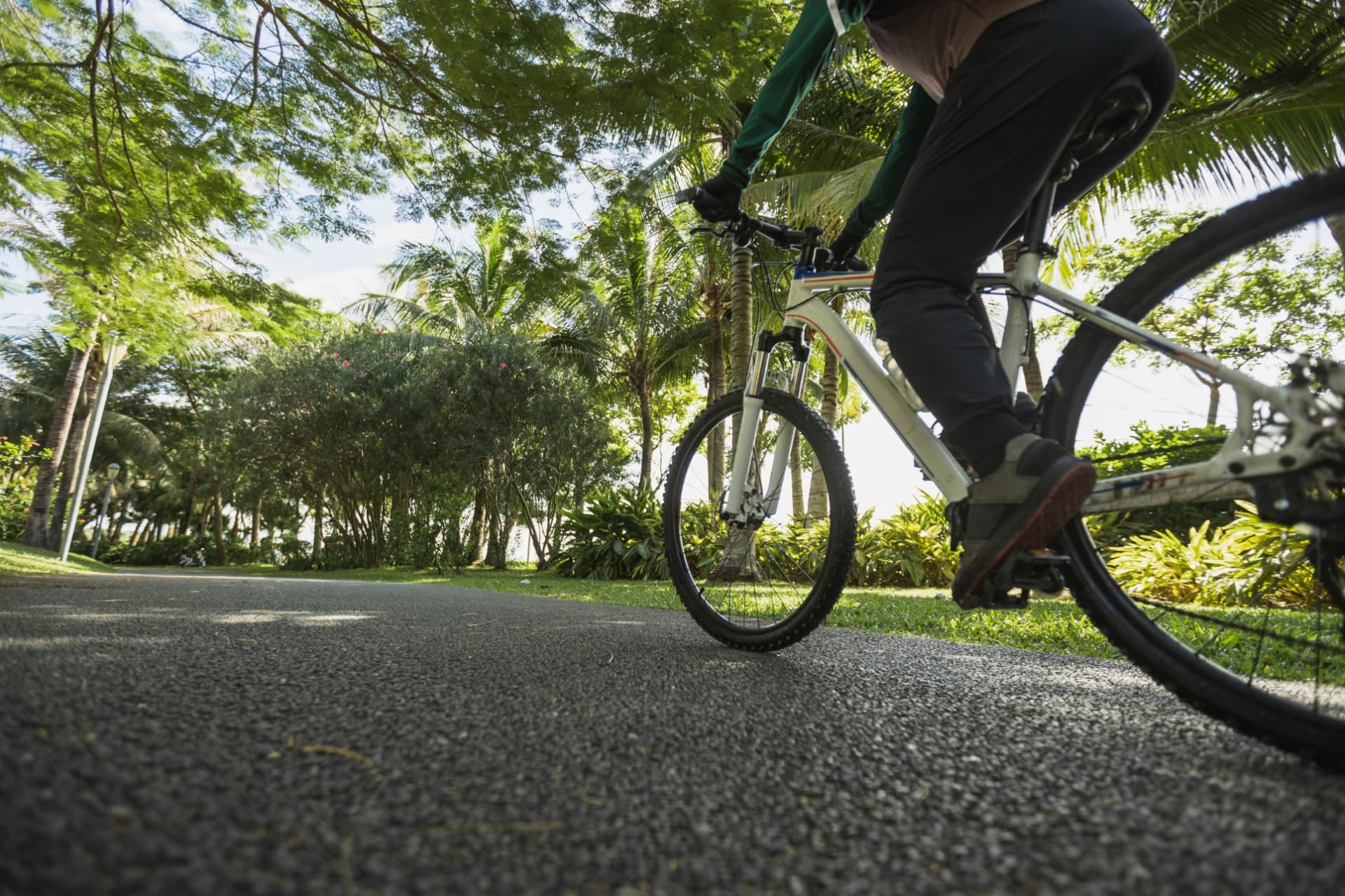 Cyclist riding a paved trail beneath tropical trees