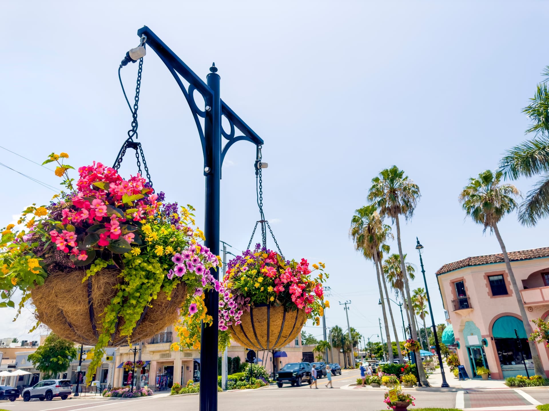 Flower baskets and palms along a downtown Venice street
